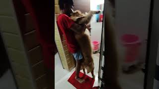 Shower Is A Punishment