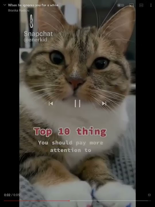 Download lagu When he ignores you for a while (read desc!!)