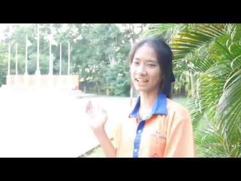 แนะนำโรงเรียน ไทรงามพิทยาคม