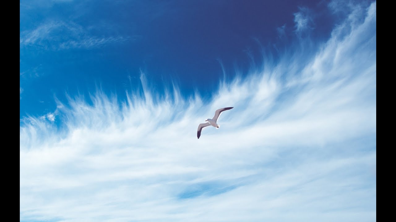 "НАДО ДОЖДАТЬСЯ" Василий Савченко - YouTube