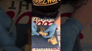 Heart dissection for NDSCS anatomy lab 221