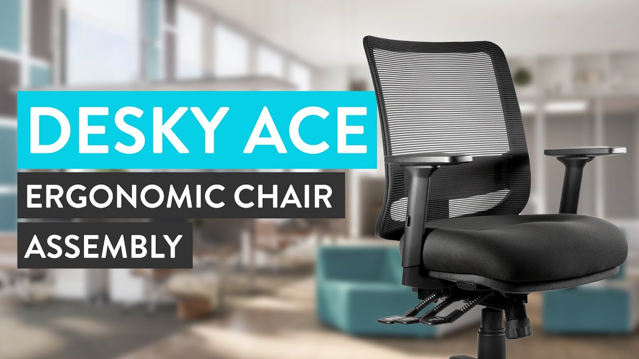 7 Best Ergonomic Office Chairs For Back Pain - Desky USA
