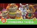 44 Cats | "Соняшника танець" пісня [ВІДЕОКЛІП]