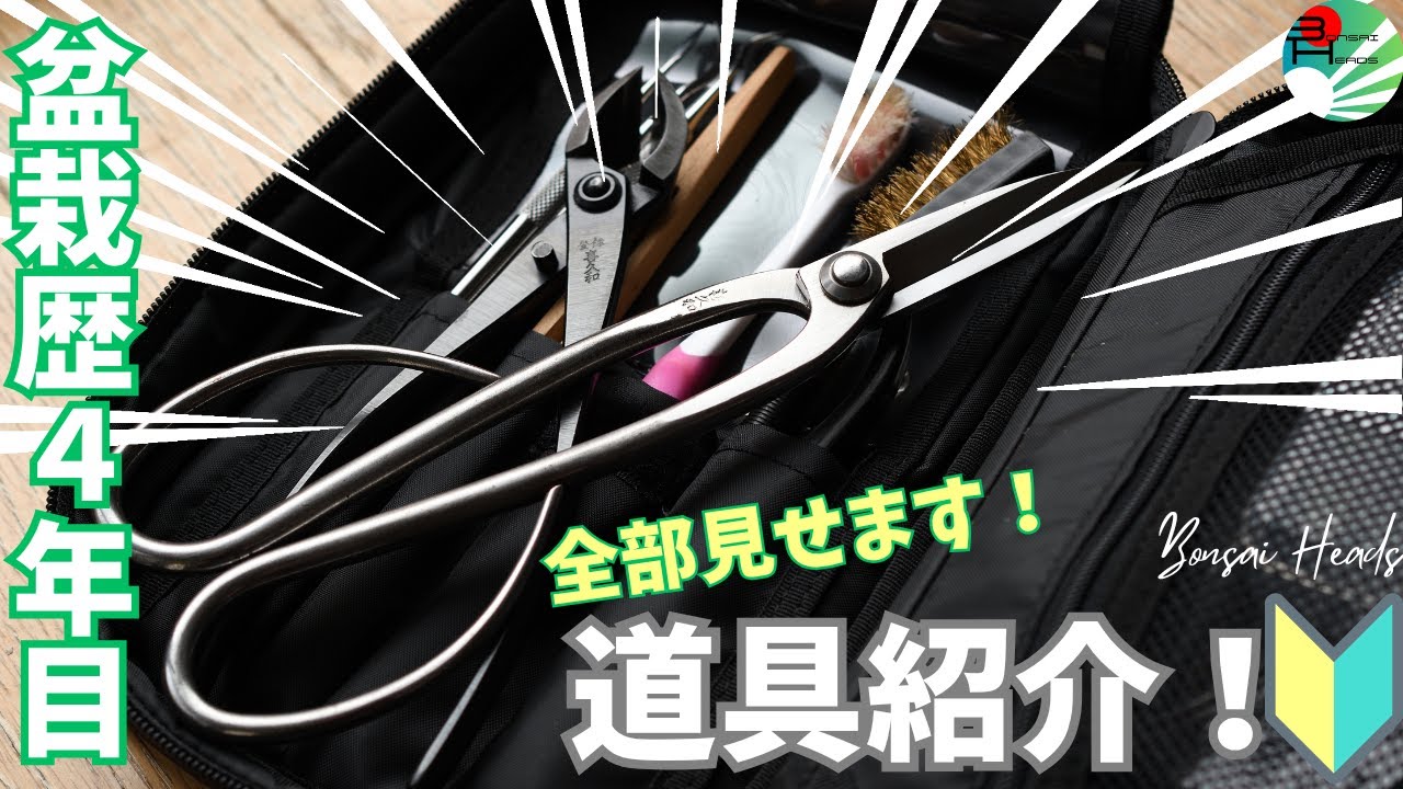23歳・盆栽歴4年目の私が使っている盆栽道具、全部見せます！These Are My Bonsai Tools – 23 Years Old, 4 Years Into the Hobby!