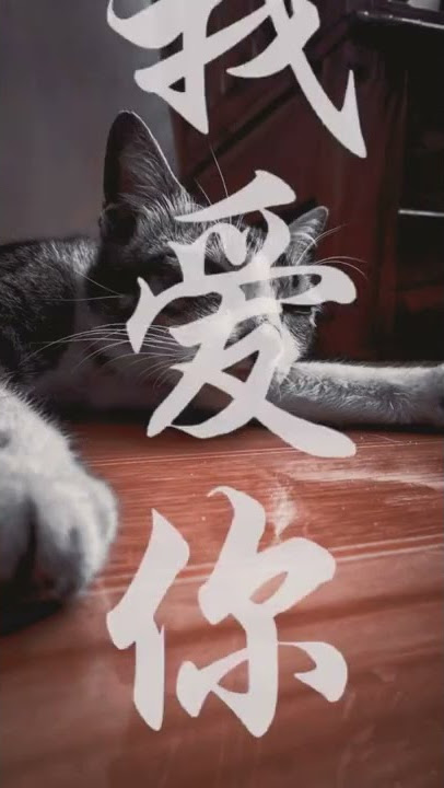 Terbaru typography jepang aesthetic tiktok instagram #shorts
