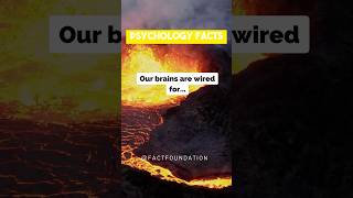 Human Connection Uncovered: Our Brains Are Wired for WHAT?