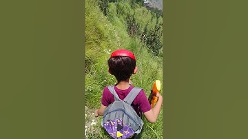 Engaging with nature can foster a deeper understanding of ecological principles and interconnection