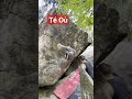 T o v5 as climbed by laura beaudoin valdavidbouldering bouldering