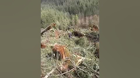 Plikat logging tty 70