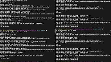 Networks Programming Assignment 2