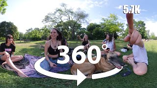360° VR Experience: Sunny Day at Trinity Bellwoods Park | Virtual Reality Timelapse!