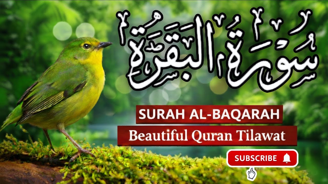 Surah Al-Baqarah Full Tilawat | Ramadan Mubarak 2026 | Beautiful Quran| Makkah Madina Islamic Video