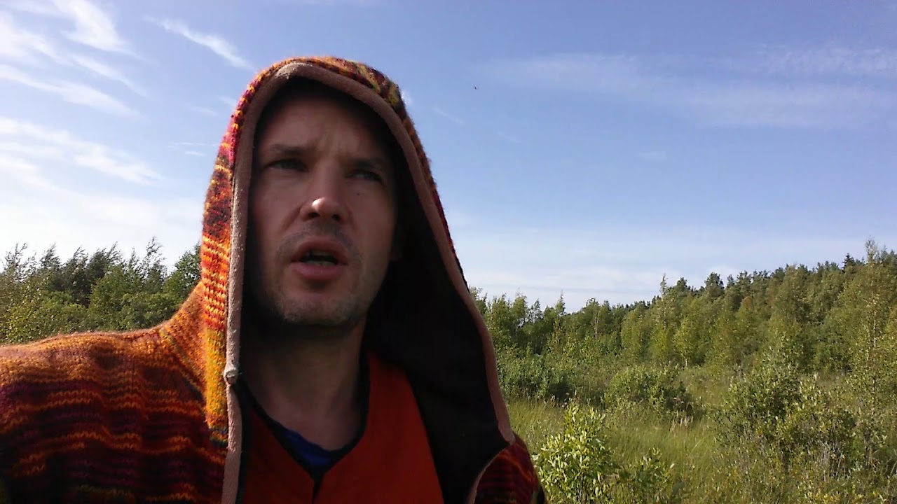 Три самые большие опасности в лесах Ленинградской области! Будьте осторожны! Экоэкскусрии в СПб.