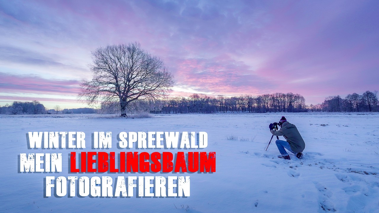 Winter am Lieblingsbaum im Spreewald fotografieren
