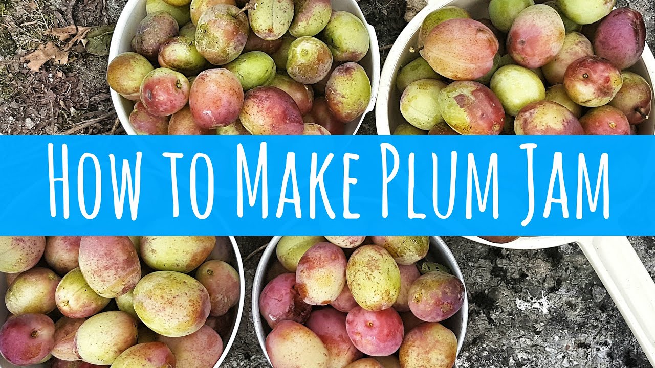 HOW TO MAKE PLUM JAM