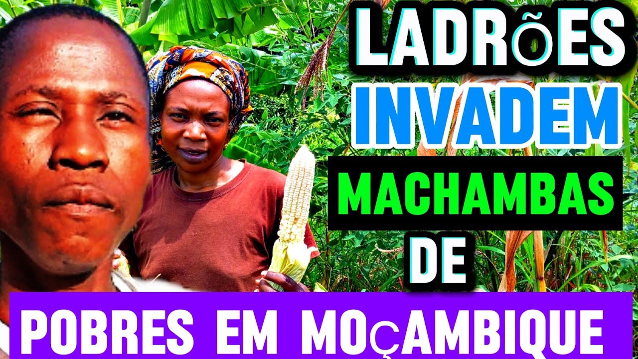 FOME EM MOÇAMBIQUE ROUBARAM TUDO NA MACHAMBA 