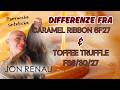 DIFFERENZE TRA CARAMEL RIBBON 6F27 e TOFFEE TRUFFLE FS6/30/27 di #jonrenau | PARRUCCHE SINTETICHE
