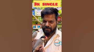 Java finches #javafinchbird #javafinches #javafinch #lovebird #trending #shorts #birds #youtube