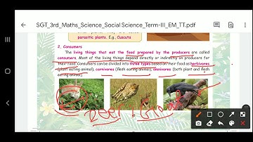 CLASS III STD SCIENCE TERM 3 UNIT 1OUR ENVIRONMENT PART 2