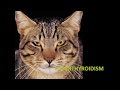 Animal Health: Drugs for the Endocrine System - a long one! (VETERINARY TECHNICIAN EDUCATION)