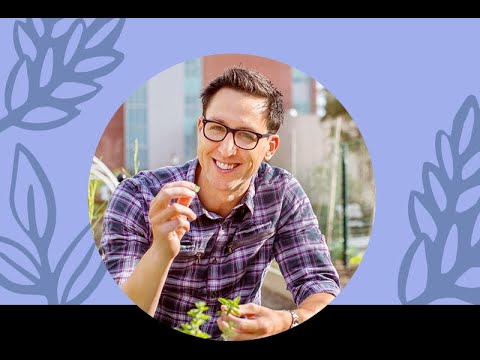 Healthy Gut, Healthy Weight: The Plant Foods Connection with Dr. Will Bulsiewicz