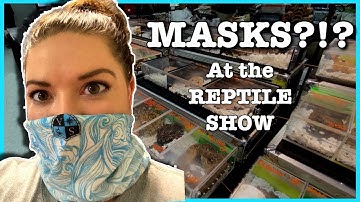 REPTILE SHOW JUNE 2020 | All Maryland Reptile Show | Ball Python Breeding