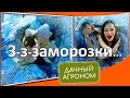 Беспокоитесь из-за возвратных заморозков? Вот что надо делать!