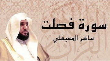 سورة فصّلت تلاوة هادئة ... الشيخ ماهر المعيقلي