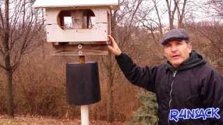 Ever had pesky squirrels eating all of your bird feed? Here is a easy to make bird feeder pole that will keep squirrels off of your bird 