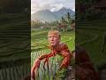 funny video #funny #foryou #shorts