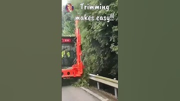 Amazing Tree Trimming Machine | Prunning and Cutting Machines | #shorts | #subscribe | #viralvideo