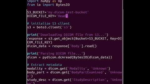 Analyze DICOM Medical Images Using Python & AWS S3 | AI in Healthcare