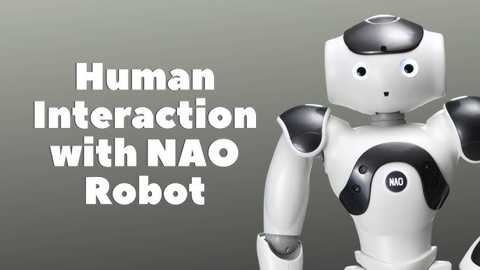 Programmable Humanoïd Robot NAO V6