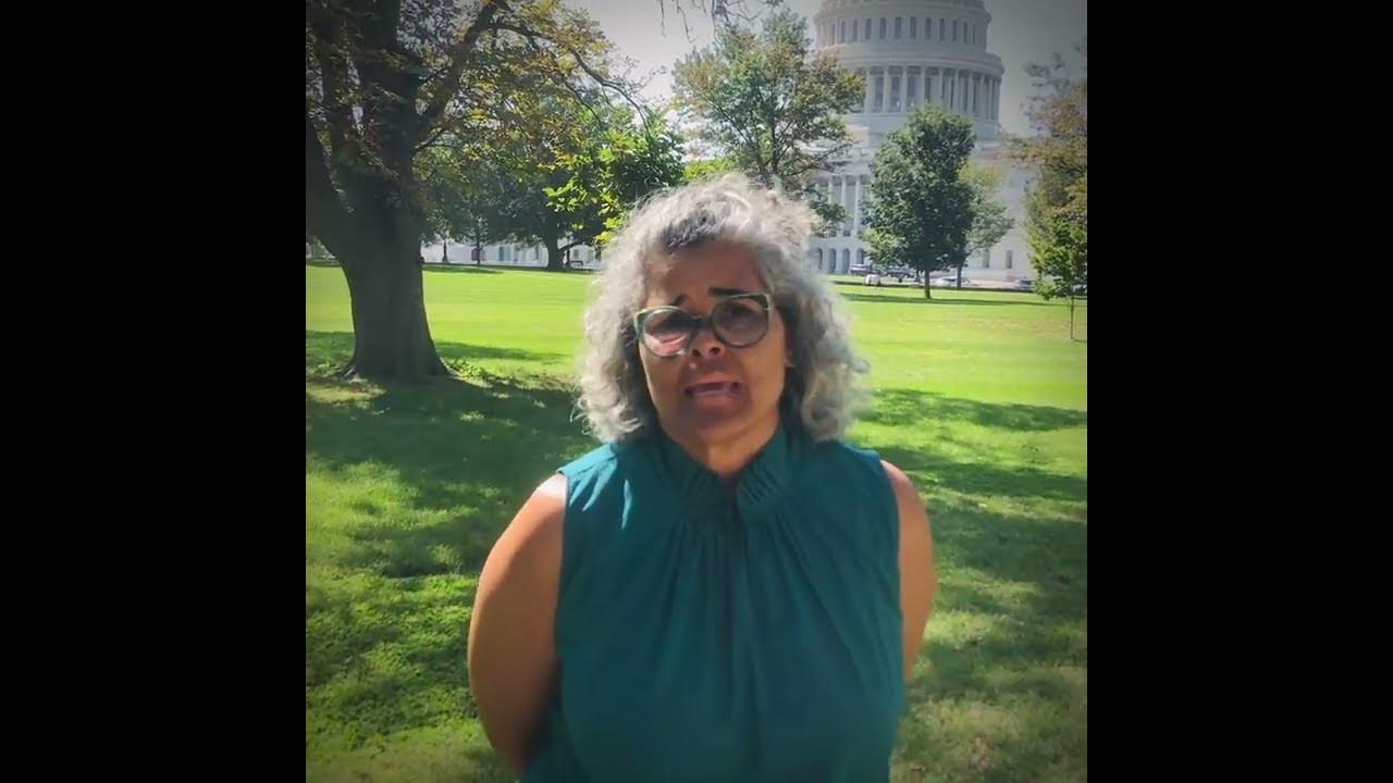 PA Advocacy AAPA Leadership Advocacy Summit YouTube
