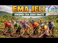 EMA JELI KIKUNDI CHA GUSA UNATE Msambazaji Jileka Mapanda TV 2026 