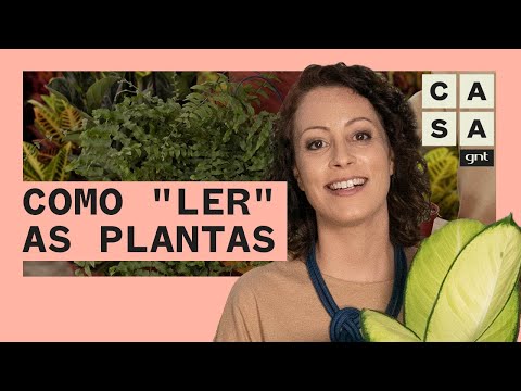 Vídeo: Sinais De Falta De Luz Para Flores De Interior