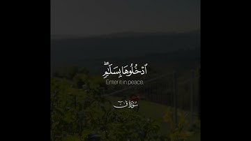 ﴿من خشي الرحمن بالغيب وجاء بقلب منيب﴾ | القارئ: راشد الحليبة
