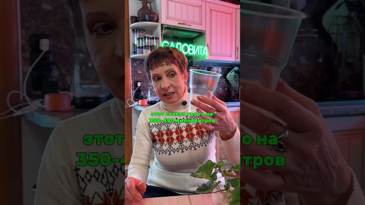 Секрет УКОРЕНЕНИЯ ПЕЛАРГОНИИ!