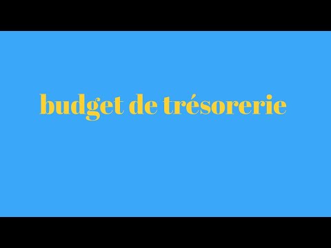Vidéo: Différence Entre Le Budget Principal Et Le Budget De Trésorerie