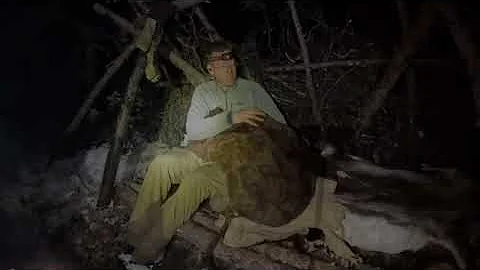 3 Days in Arctic Survival Shelter - Solo Bushcraft Camping & Blacksmithing| worldupdate-news 