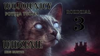 WOJOWNICY, POTĘGA TRÓJKI : WIDZENIE ,OPOWIEŚĆ O KOTACH DLA DZIECI I MŁODZIEŻY , FANTASY , KOTY