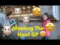 Meeting the Hoof GP | Day 6