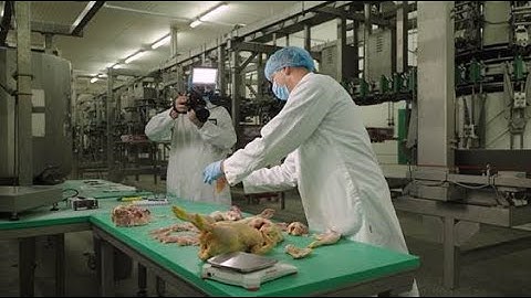 Meyn® launches digital processing demos