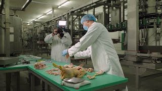 Meyn® launches digital processing demos