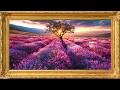 Dreamy Lavender Field Sunset 🌅 Relaxing TV Art for Sleep, Meditation & Peaceful Spaces (3 Hours)
