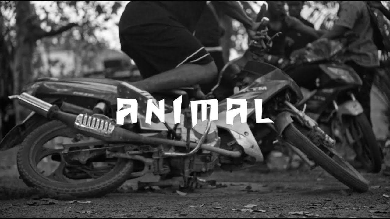 ANIMAL 999   LFD Clip Officiel