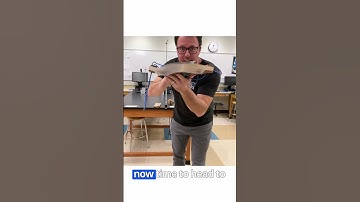 The Inseparable Books Experiment   #physicsninja #physics