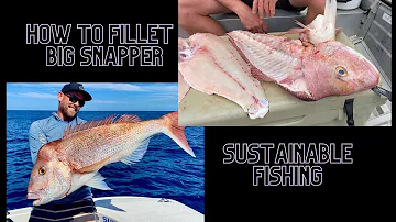 How to fillet big Snapper with NO knife Skills