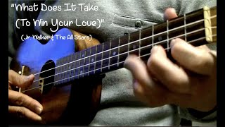 Video thumbnail of "What Does It Take (To Win Your Love) (Jr. Walker & The All Stars) ukulele rendition"