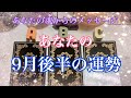 9月の動きは軽くてスピーディーのようです⭐️慌てず振り回されず落ち着いて行動してくださいね【数秘術占い師のカードリーディング】